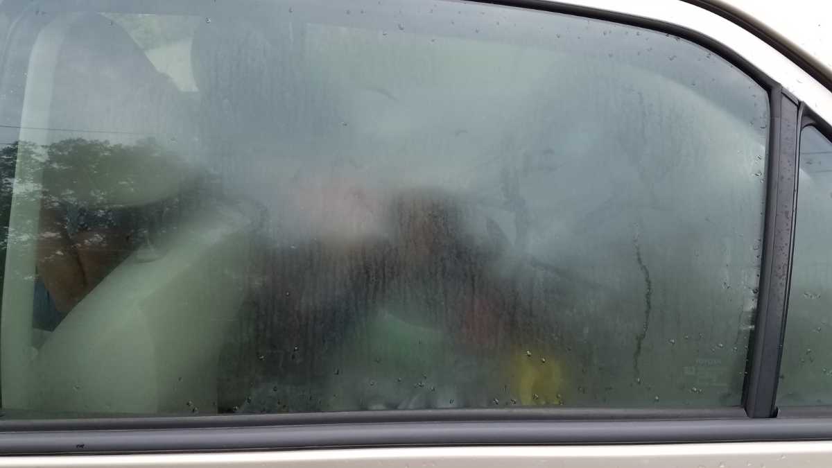 Condensation Inside Cars: How to Counter