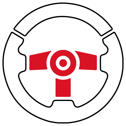 steering-&-alignment-check